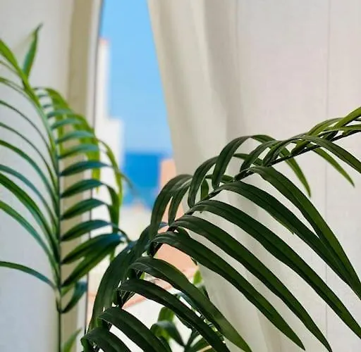 Tatil Evi Casa Fronte Mare Con Giardino Privato - - Lipari